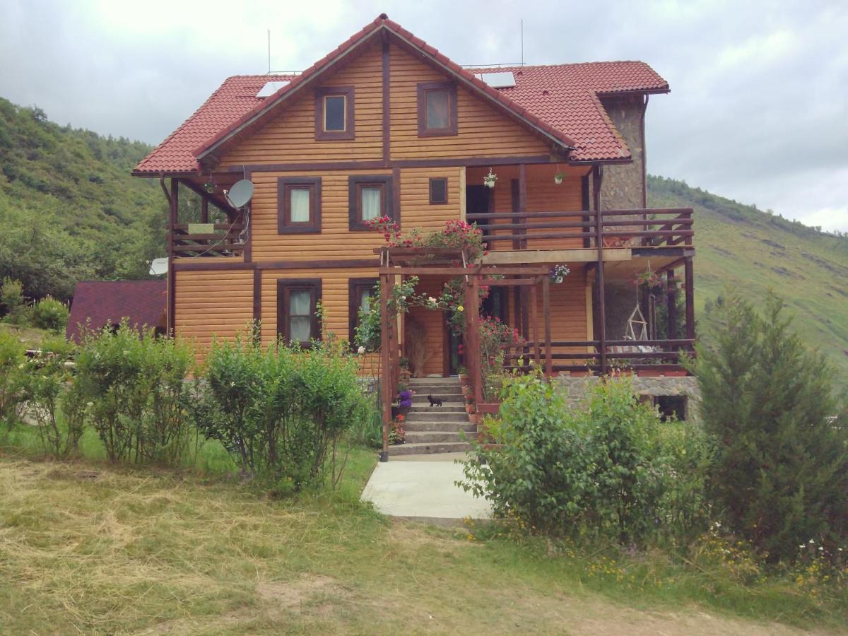 Cabana Soarelui Retezat Nucsoara  Eksteriør bilde